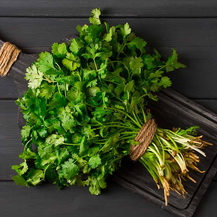 How to clean coriander step by step dgtl