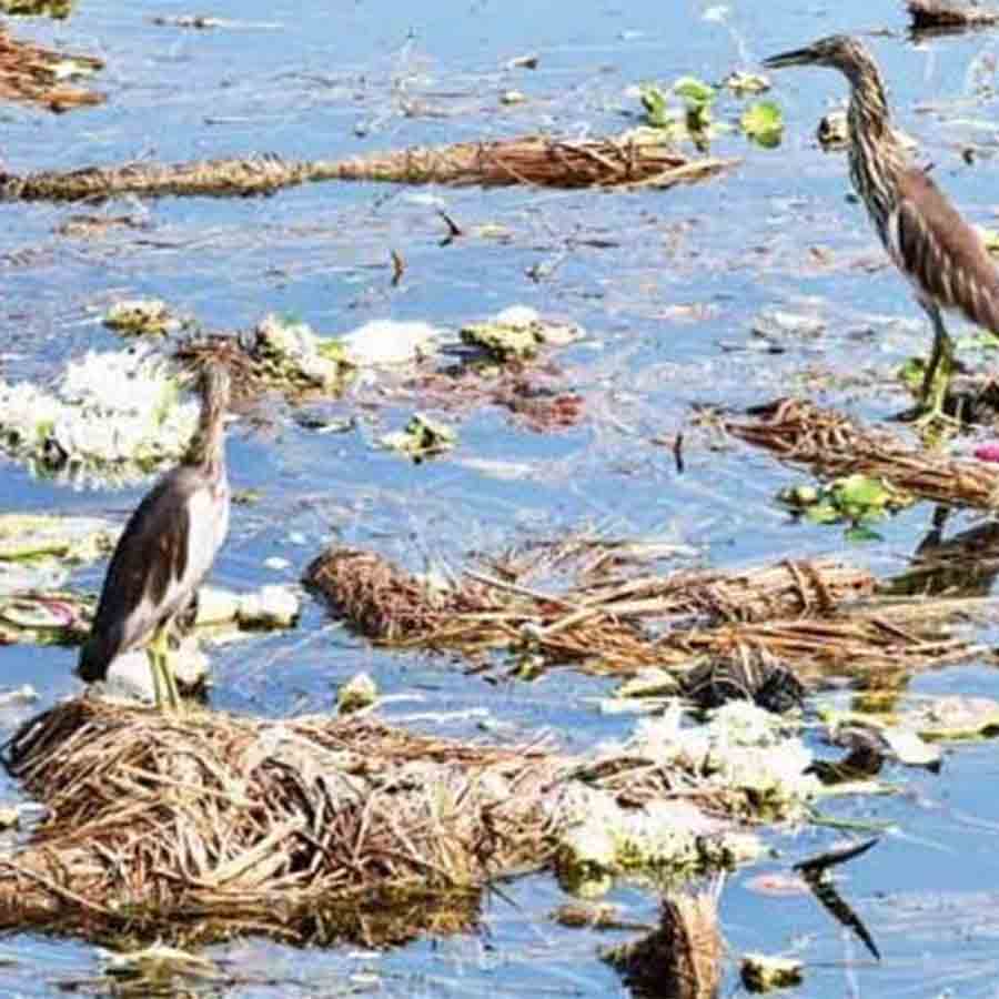 Initiative from Bagda administration to stop pollution of lakes