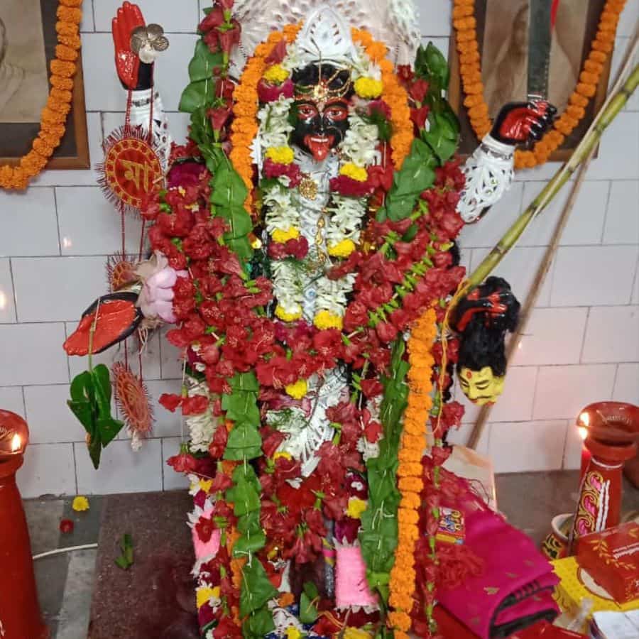 Pal Family 350 Years Kali Puja Pratapgarh Garfa Kolkata Cultural Heritage dgtl