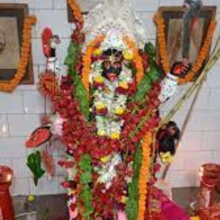 জমি-জমা, পুরনো ভিটে— সবই হয়তো পিছনে ফেলে এসেছিলেন। কিন্তু কালীপুজো আর তার ঐতিহ্যকে ফেলে আসেননি। যে ‘টান’ আজও বিদ্যমান।