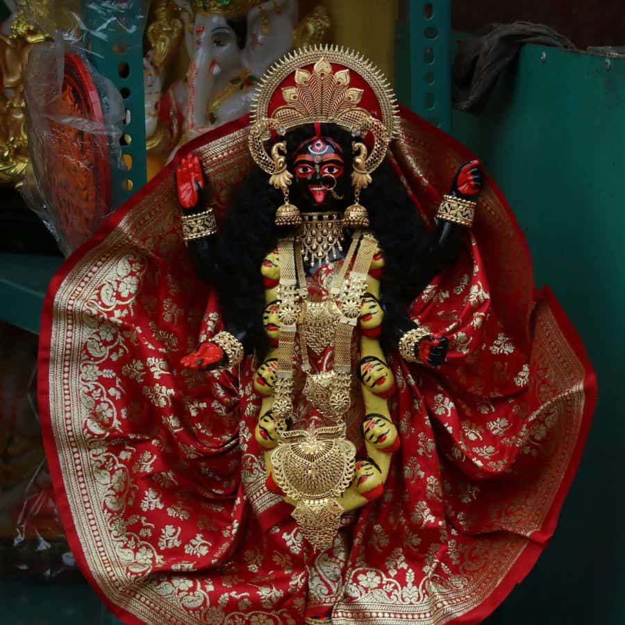 এক প্রজন্মের হাত ধরে অন্য প্রজন্মের কাছে ঐতিহ্যের এই বাতিঘর পৌঁছে দেওয়ার গল্পই হয়তো পাল পরিবারের ৩৫০ বছরের এই কালীপুজোর আসল উপপাদ্য। (এই প্রতিবেদনটি ‘আনন্দ উৎসব’ ফিচারের একটি অংশ)।