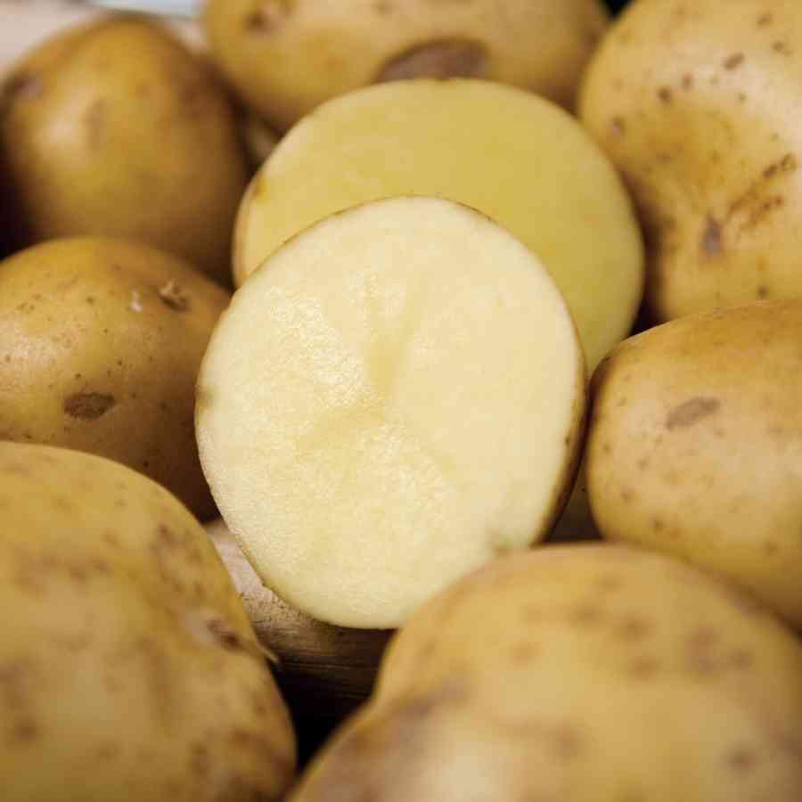 আলুর সাহায্যেই দূর করুন ডার্ক সার্কেল। কী ভাবে চলুন জেনে নেওয়া যাক। 