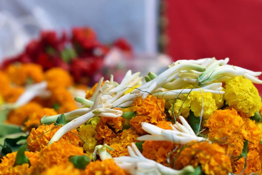 কথিত আছে, পুজো হয়ে গেলে বাসি ফুল রেখে দেওয়াও অশুভ। অগত্যা, শুকনো ফুল ফেলে দেওয়া ছাড়া উপায় নেই। 