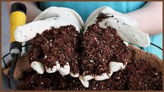 সার দেওয়ার সময়ে দেখবেন যেন ত্বকের সংস্পর্শে না আসে। এতে ত্বকেরও ক্ষতি। কাজ শেষ হলে ভাল করে পরিষ্কার করে দিন হাত।   (এই প্রতিবেদনটি ‘আনন্দ উৎসব’ ফিচারের একটি অংশ।)