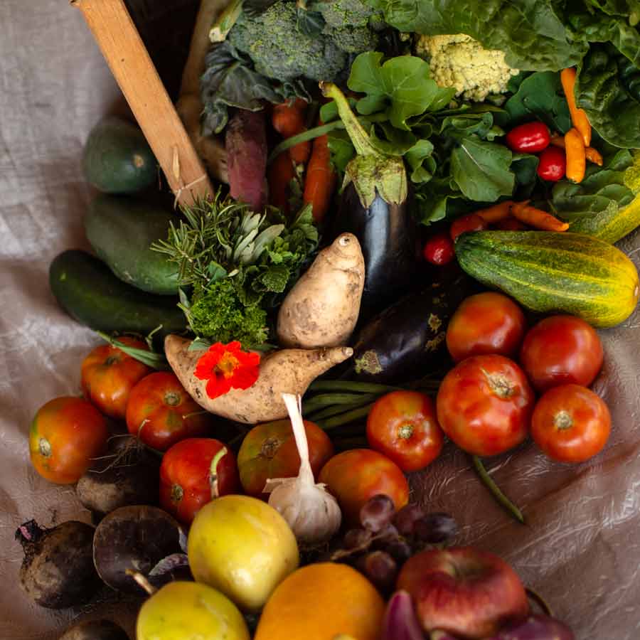This is how you can preserve fruits and vegetables for more than a week