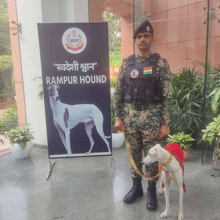 Indian Dog Breeds lead way in Border Security Forces