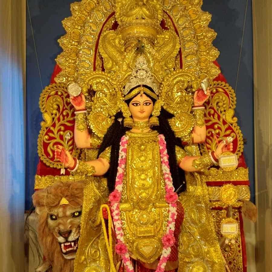 Reason Behind the Dead Elephant Under the Feet of Jagadhatri Idol dgtl