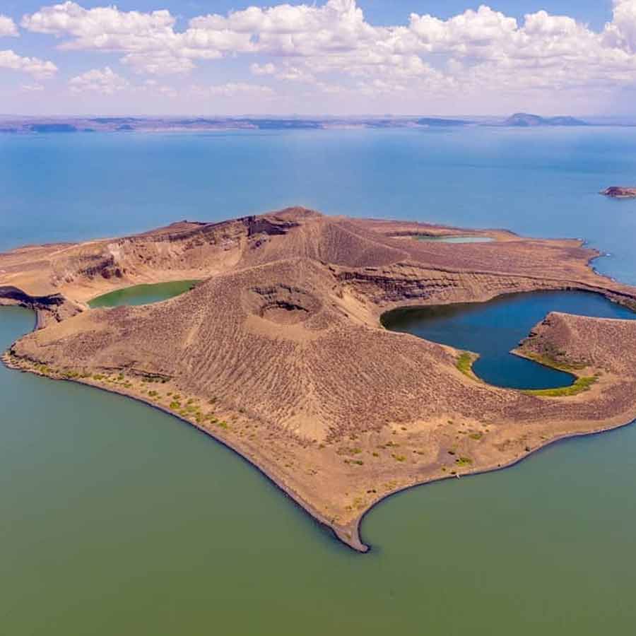 এনভাইটনেটের উদ্দেশে তাঁরা রওনা দেওয়ার দিন পনেরো পর একটি অনুসন্ধানী দল তাঁদের খোঁজে বার হয়। দ্বীপে দুই বিজ্ঞানীর কোনও চিহ্ন ছিল না। ঠিক যেন কর্পূরের মতো উবে গিয়েছেন তাঁরা। তাঁদের সন্ধানে চিরুনিতল্লাশি চলে।