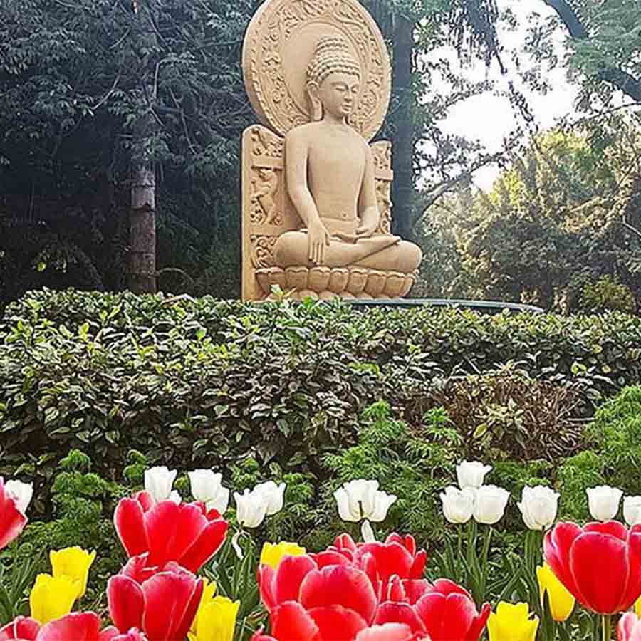 শোভা: দিল্লিতে লাল-হলুদ টিউলিপ।