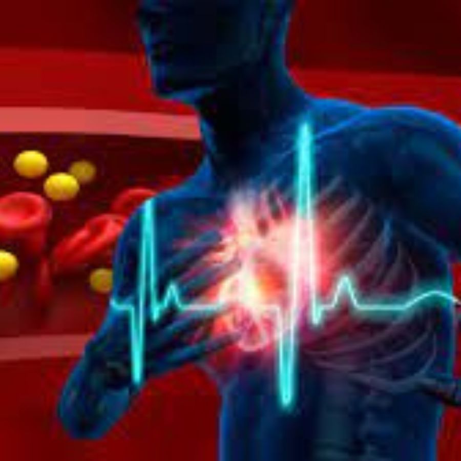 কোলেস্টরল বাড়লে নানা সমস্যা দেখা দেয়। 