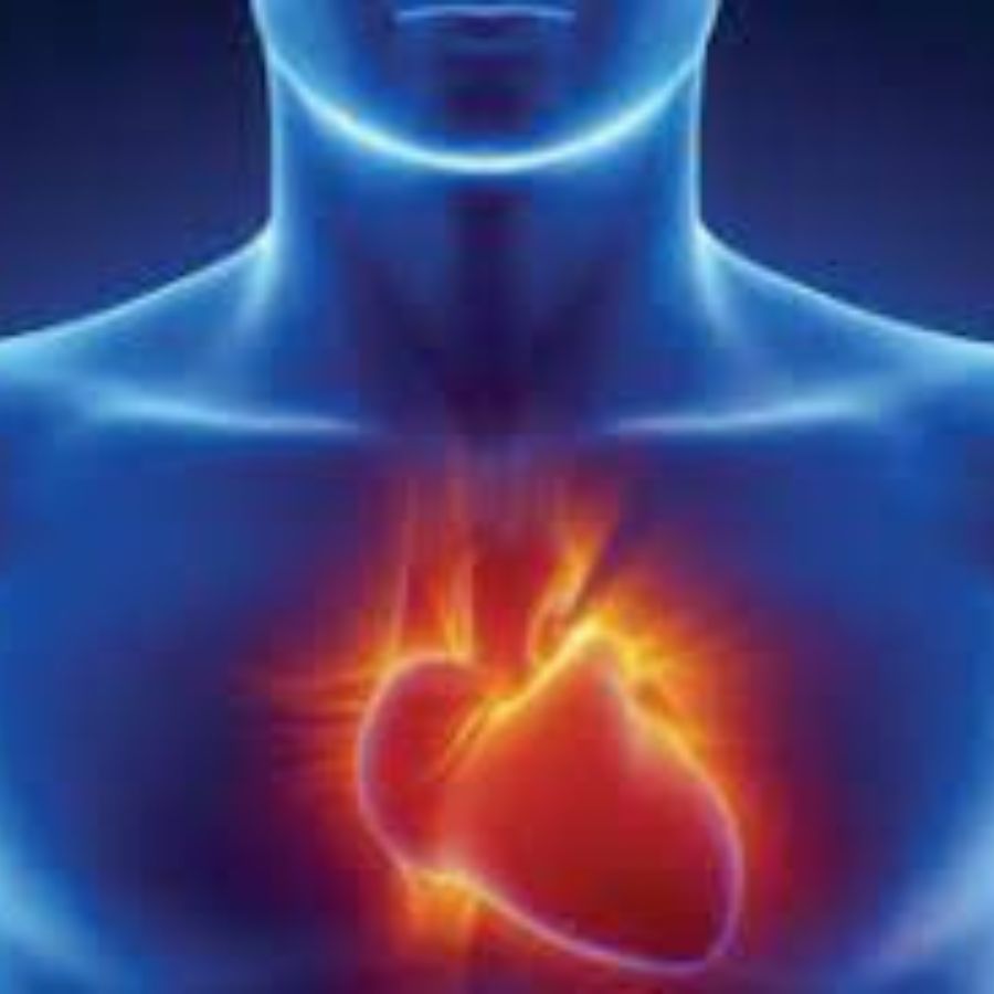 তবে এ বার ঘরোয়া এক মশলায় নিয়ন্ত্রণ করতে পারবেন কোলেস্টরেল লেভেলকে। 