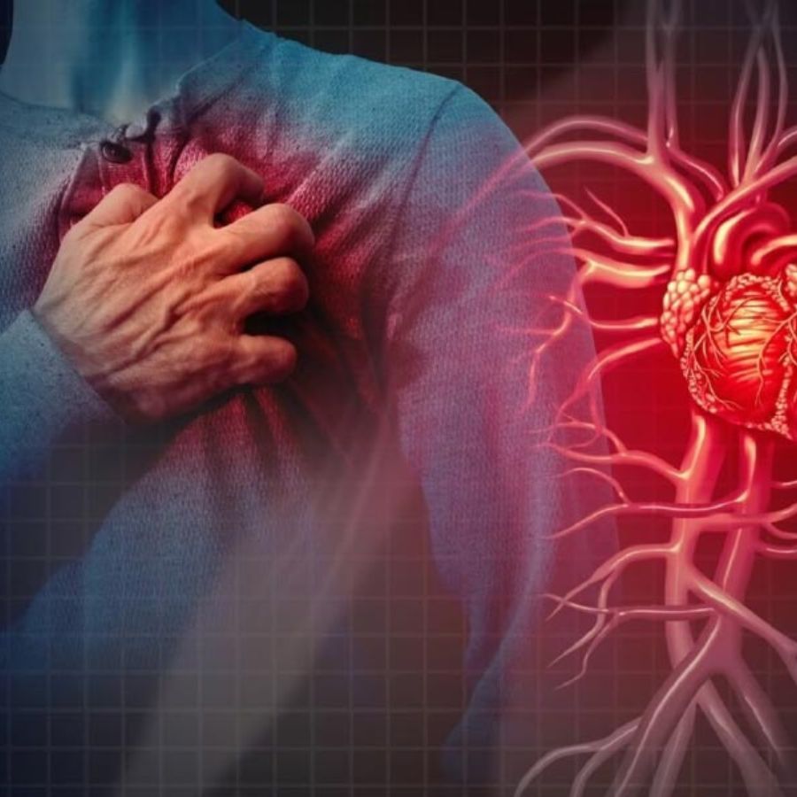 Control bad cholesterol with the help of cinnamon dgtl