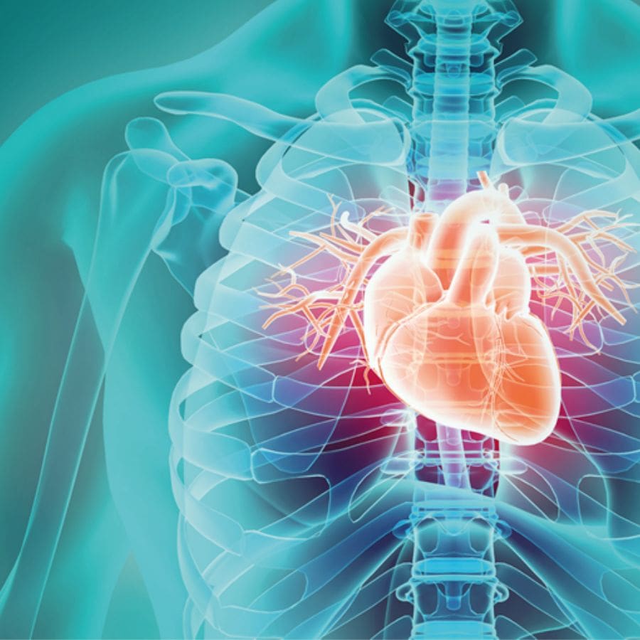 ওষুধ তো আছেই, কিন্তু ঘরোয়া উপায়েও কাবু করতে পারেন খারাপ কোলেস্টরল এবং এর লেভেলকে। কী ভাবে? চলুন জেনে নেওয়া যাক। 