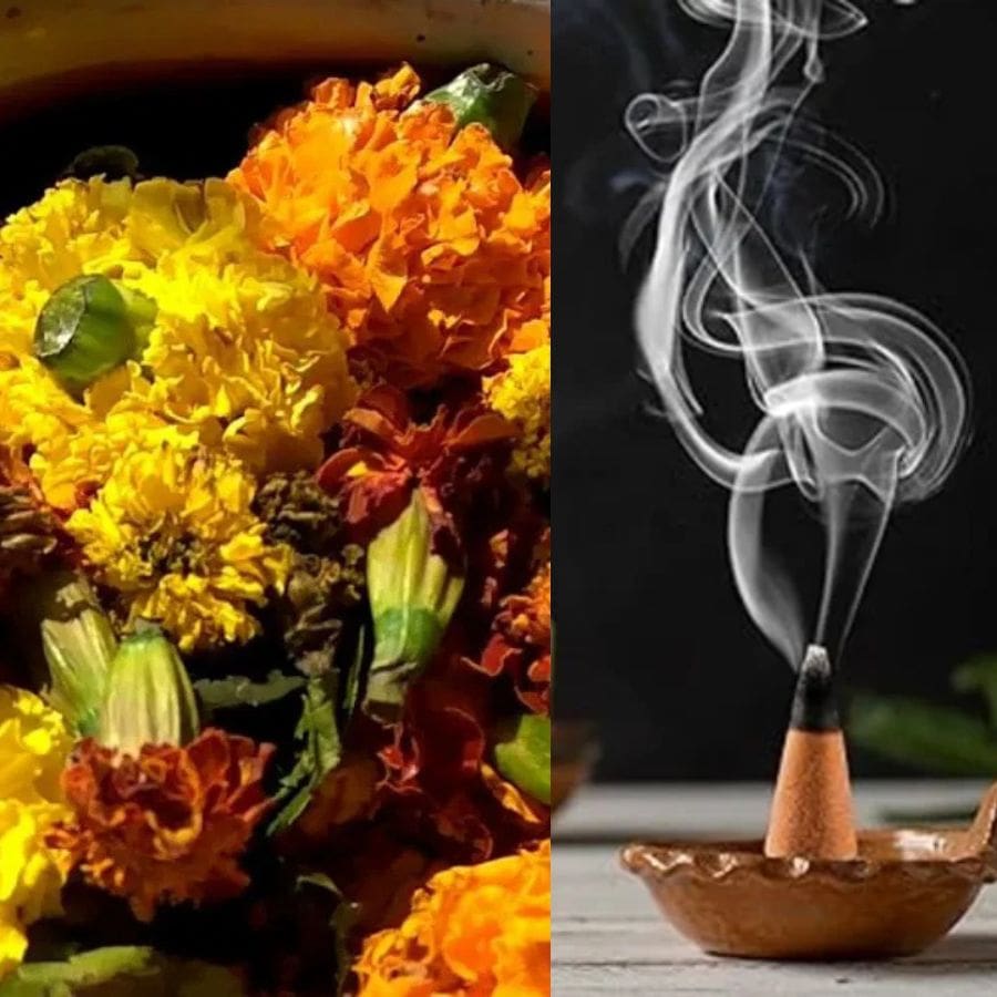How to make incense from used puja flowers to reduce environmental pollution dgtl