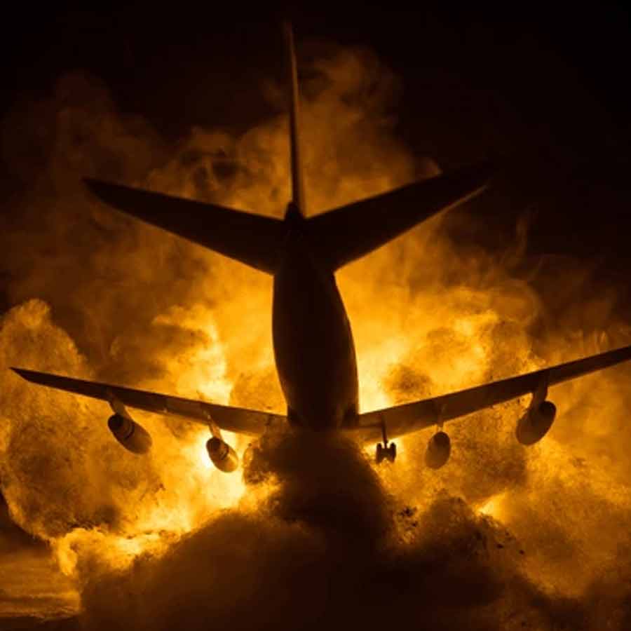 All need to know about Vesna Vulovic, flight attendant who survived 33,000 feet fall without parachute