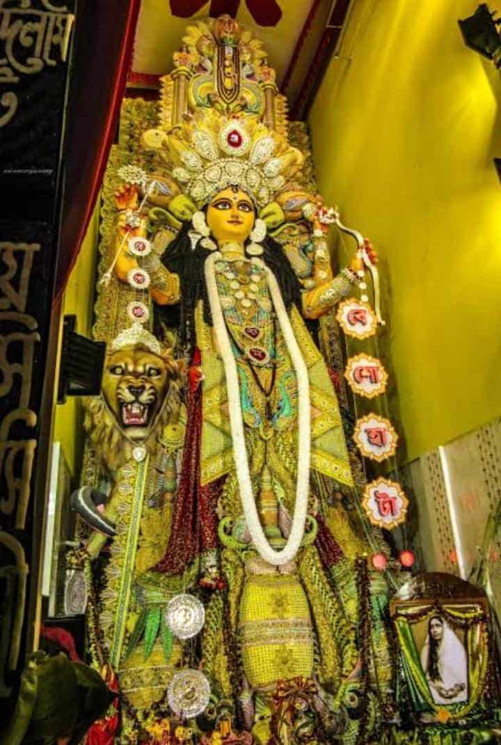 বেশোহাটা সর্বজনীনের প্রতিমার উচ্চতা ২১ ফুট হলেও সাজসজ্জা মিলিয়ে সেই উচ্চতা দাঁড়ায় প্রায় ৩৩ ফুট। 