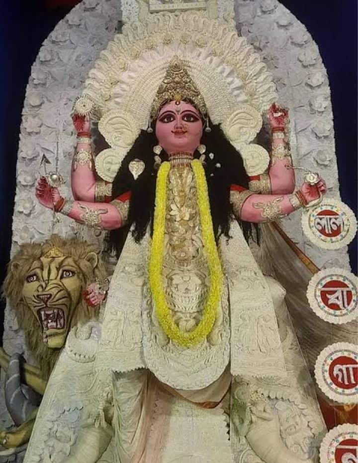 লালবাগান সর্বজনীন চন্দননগরের অন্যতম ঐতিহ্যবাহী পুজো। এখানকার প্রতিমার উচ্চতা প্রায় ৪৩ ফুট। 