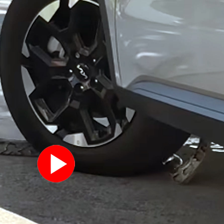 Video of large snake sneaking into car’s engine in Florida goes viral dgtl