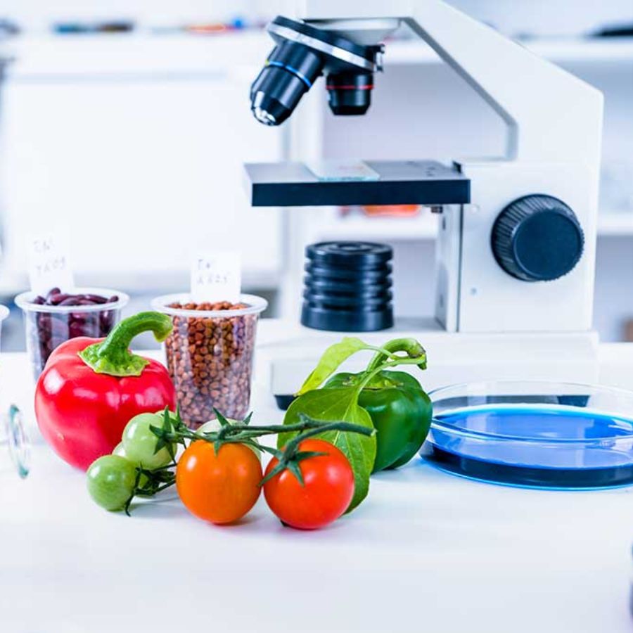 Career Prospects of Food Technology in India, check eligibility criteria Dgtl