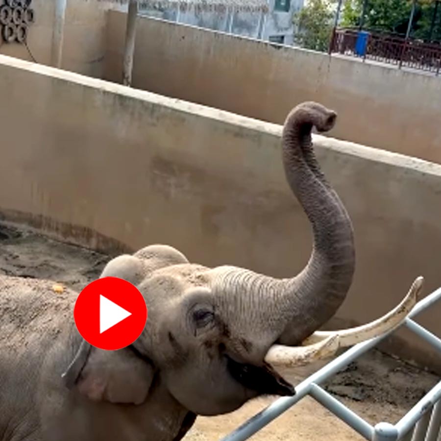 Ukrainada intim fotosuratlar almashish