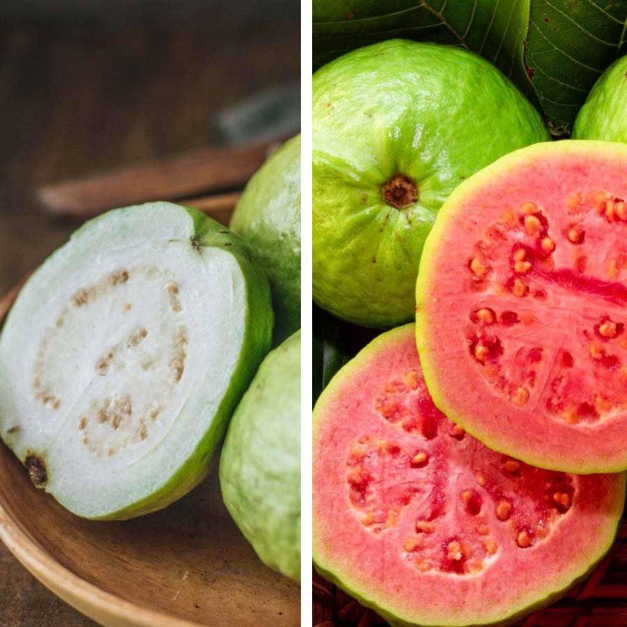 White or pink guava, which one is better for diabetes patient dgtl