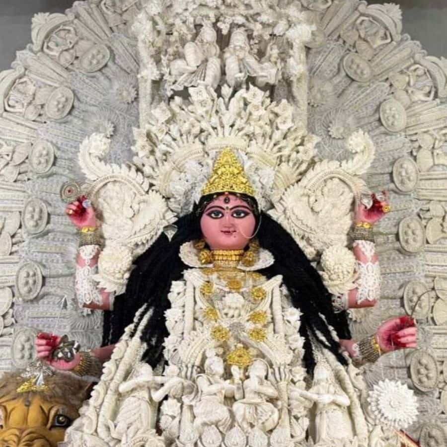 Chandannagar boro taldanga jagadhatri puja 2025 moving daker saj theme against superstition dgtl