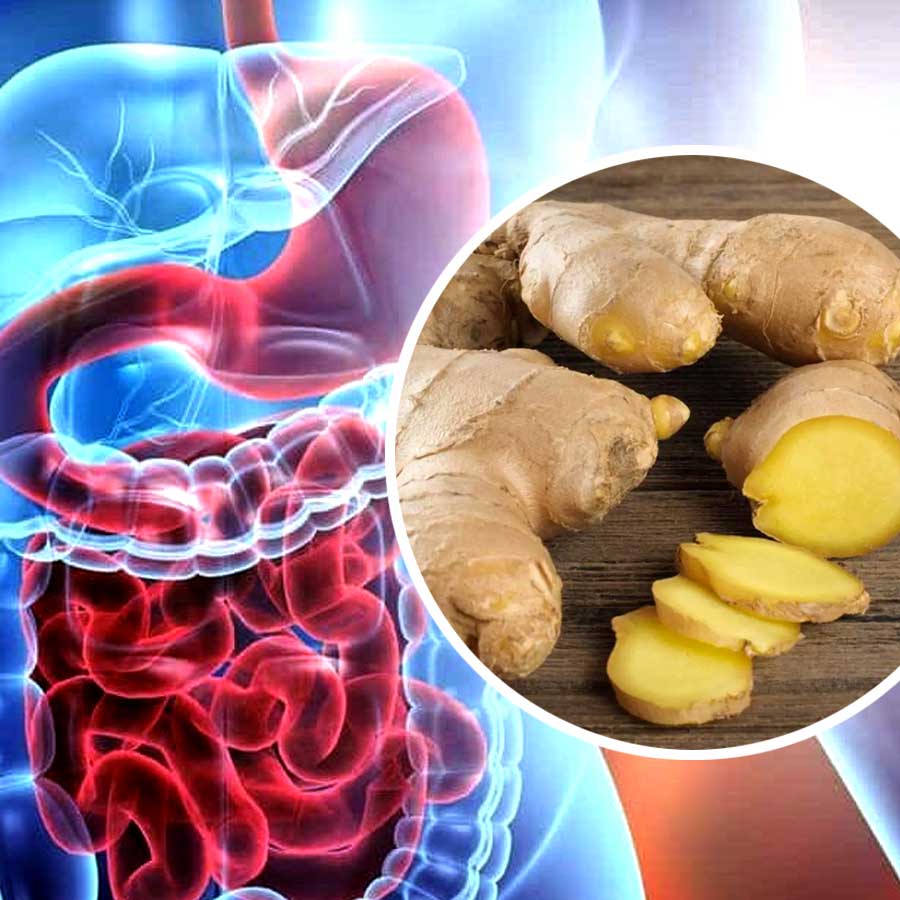 What is the science on ginger as a treatment for nausea and other stomach woes