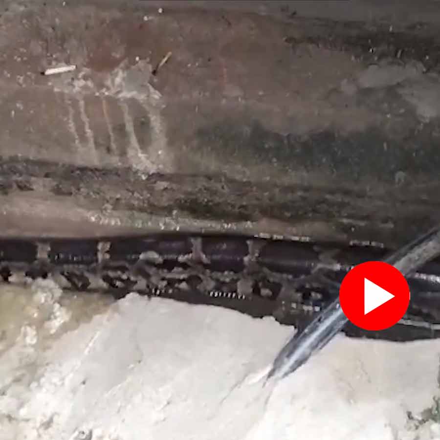 Video Of 12 Foot Long Python Found Inside Canal Near House In Visakhapatnam Rescued Goes Viral dgtl