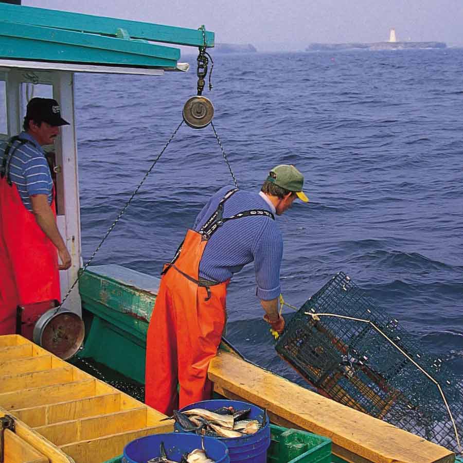 Cod War happened in 1958 to 1978 