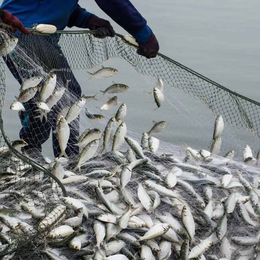 Cod War happened in 1958 to 1978 