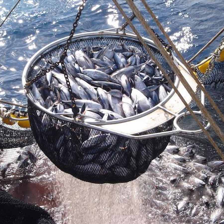 Cod War happened in 1958 to 1978 