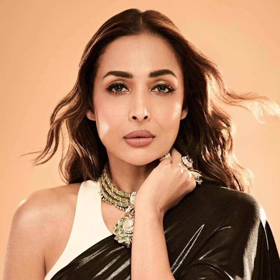 Malaika Arora reportedly reached a hospital after attending Enrique’s concert dgtl