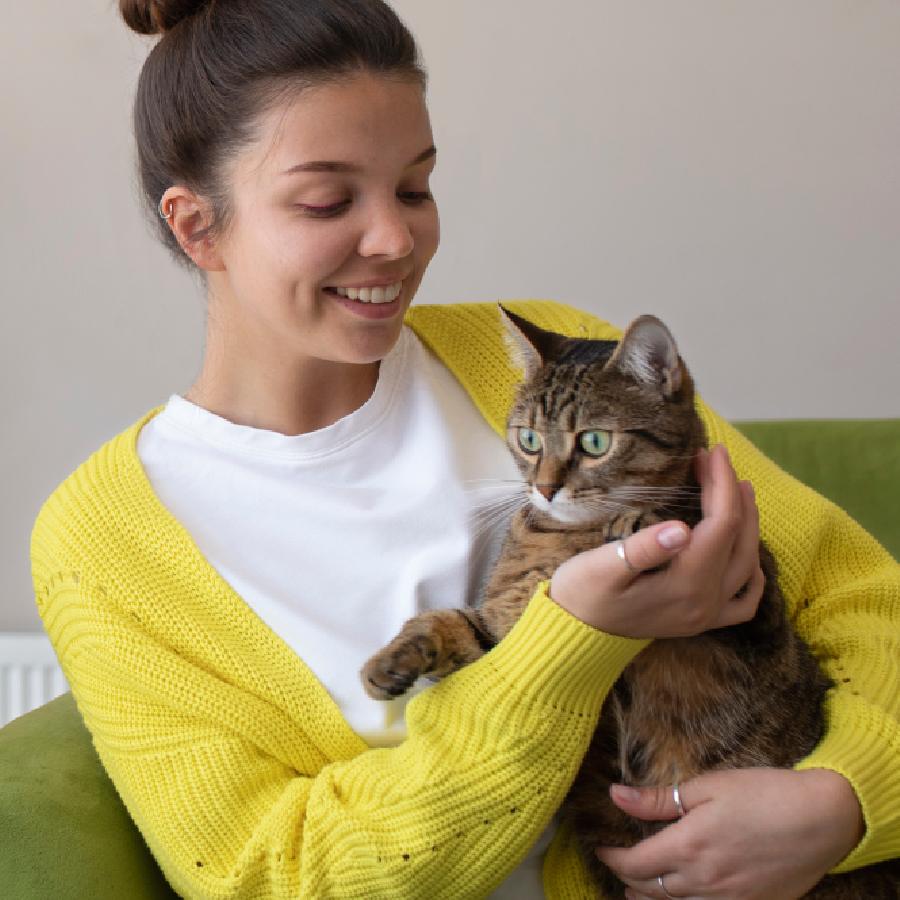 Reasons you should avoid bathing your cat dgtl