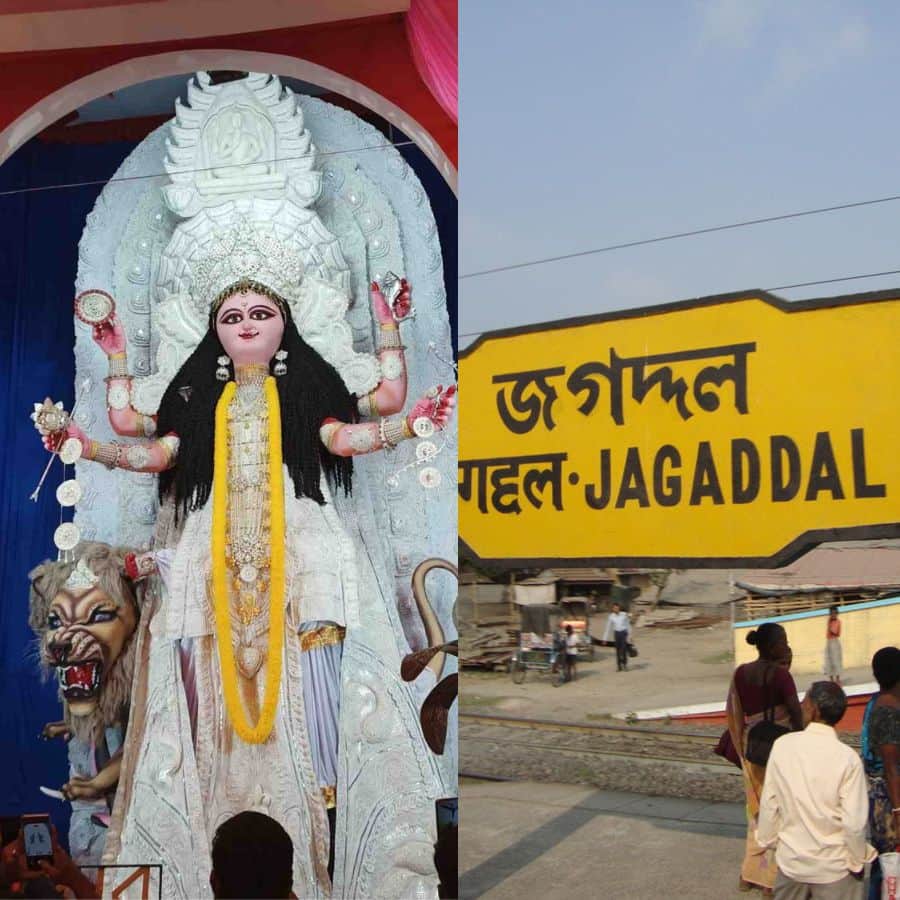 Some famous jagadhatri puja of jagaddal dgtl
