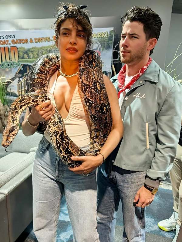  প্রিয়ঙ্কার নতুন গয়না নিয়ে নিক খুব উৎসাহিত নন।