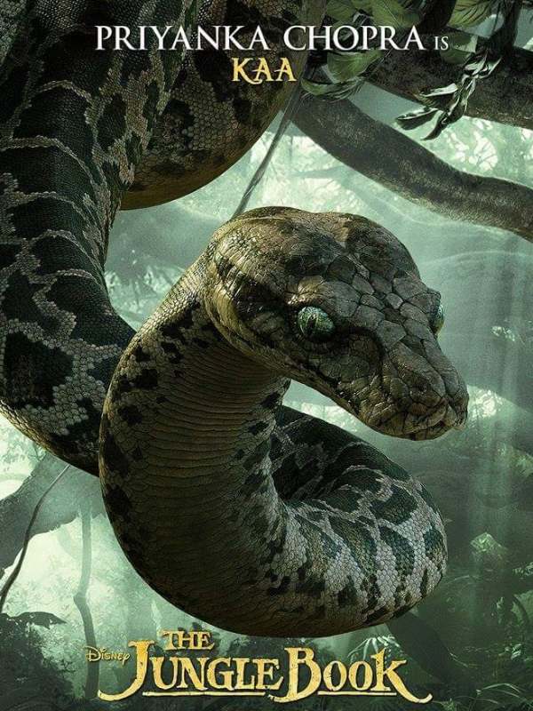 জঙ্গল বুক সিনেমার পোস্টার।