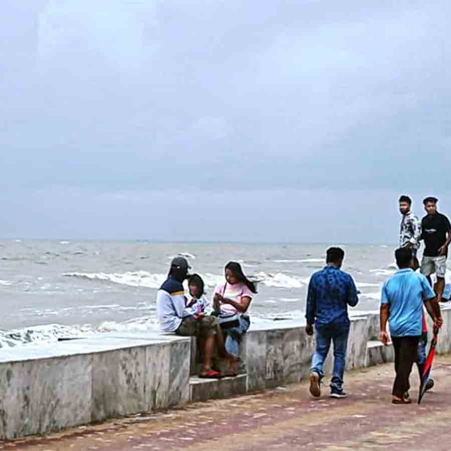 Awareness is needed about Salt Cedar forest