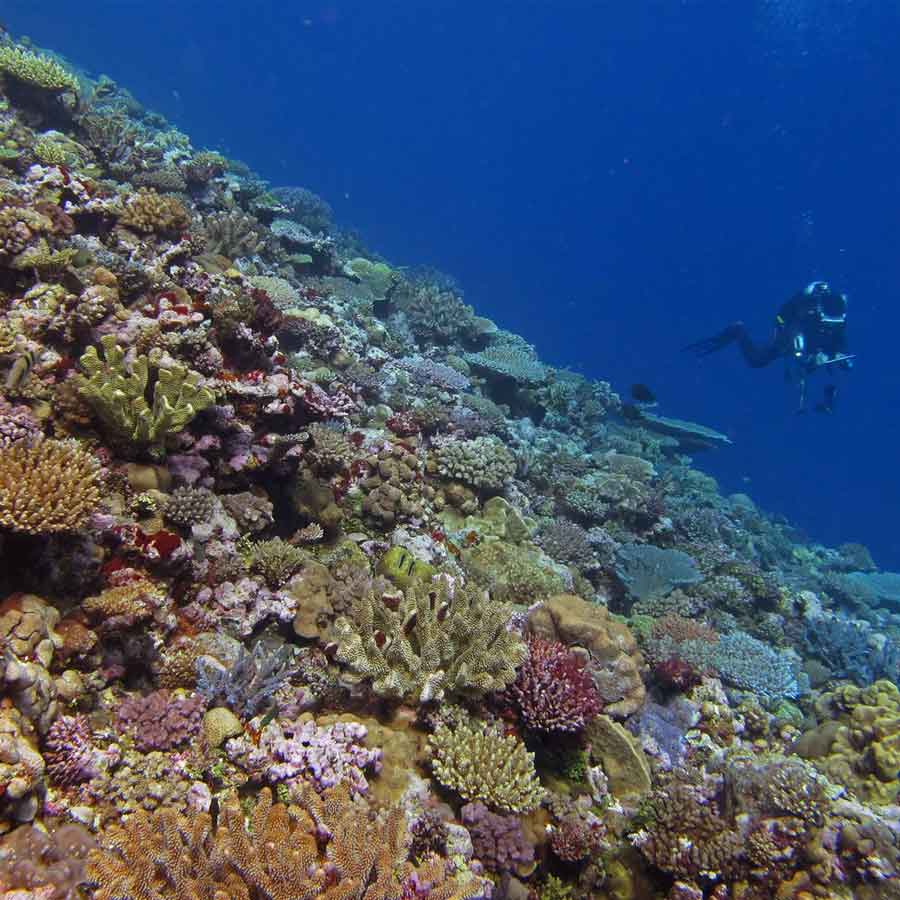 All need to know about Okinotorishima rock, that Japan is trying to protect by spending Billions