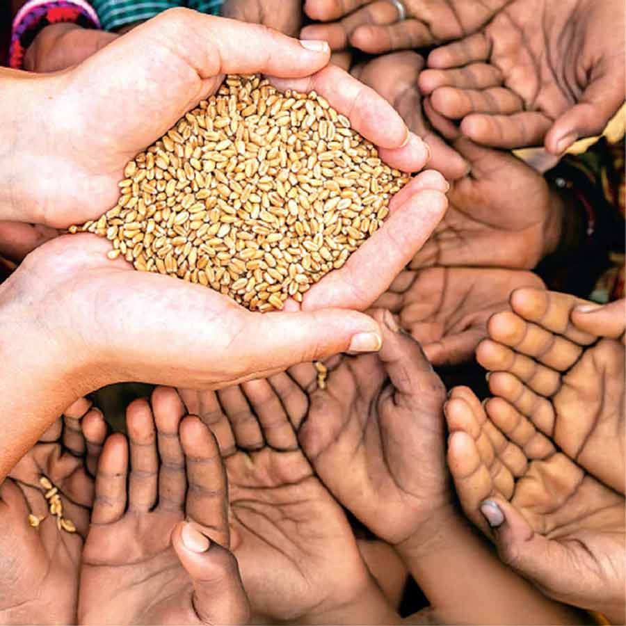 Turkey rejects 55 thousand tons of Indian wheat amid food crisis due to Russia Ukraine war, know its impact on New Delhi 