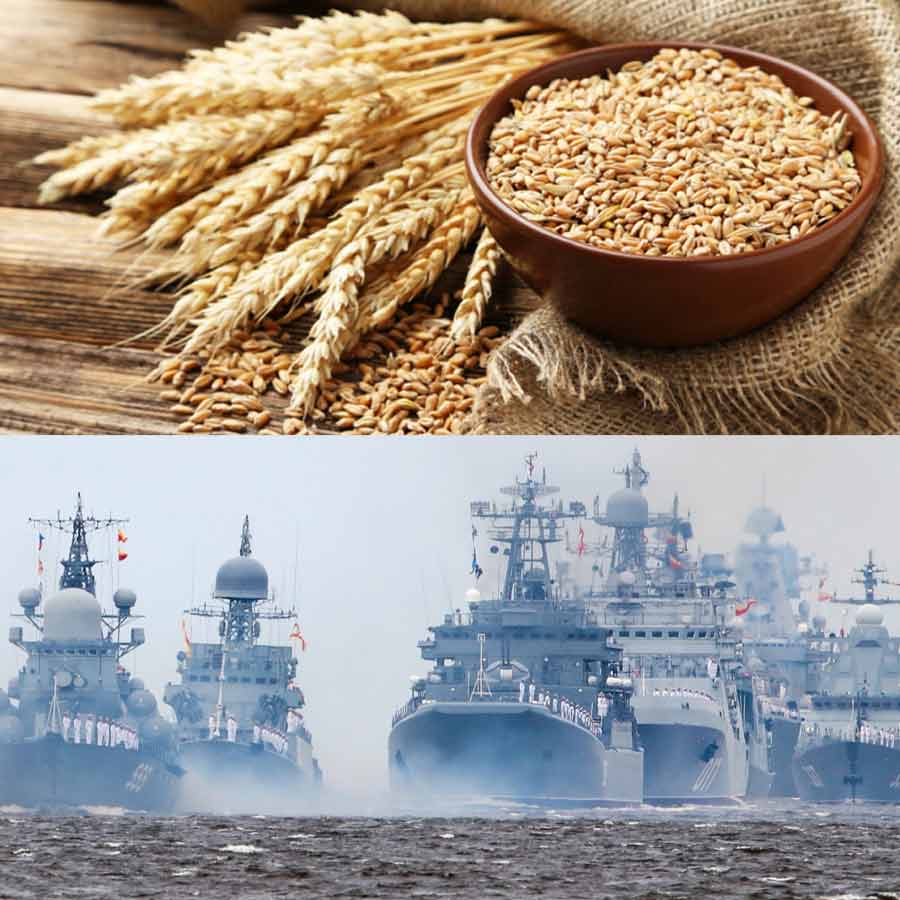 Turkey rejects 55 thousand tons of Indian wheat amid food crisis due to Russia Ukraine war, know its impact on New Delhi 