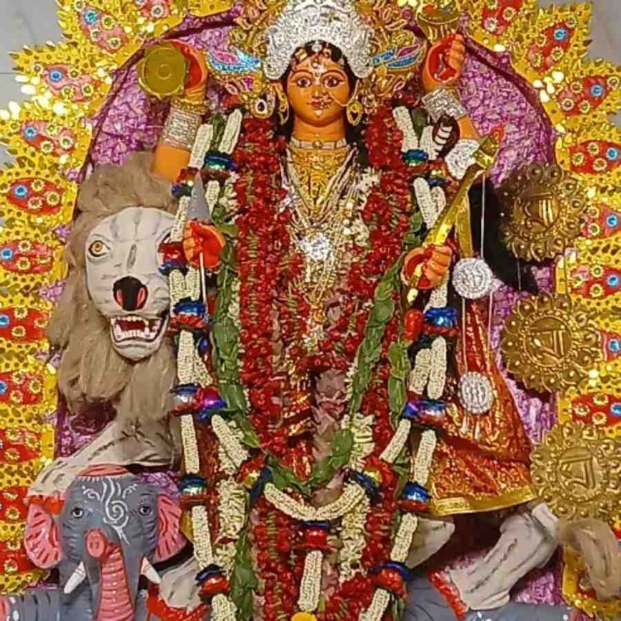 300 Years old tradition of Howrah Chatterjee Family alias Ukilbari Jagadhatri Puja dgtl