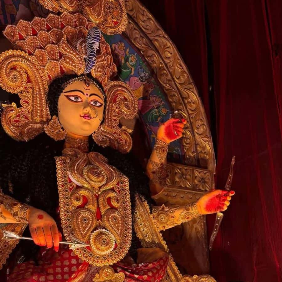 Rishra New tarun dal jagadhatri Puja 2025 Theme dgtl