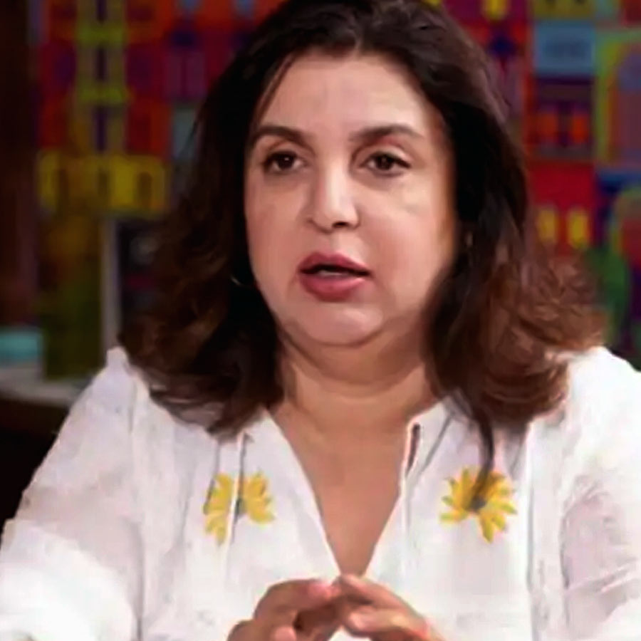 Farha Khan said that she tried to have child naturally before trying IVF dgtl