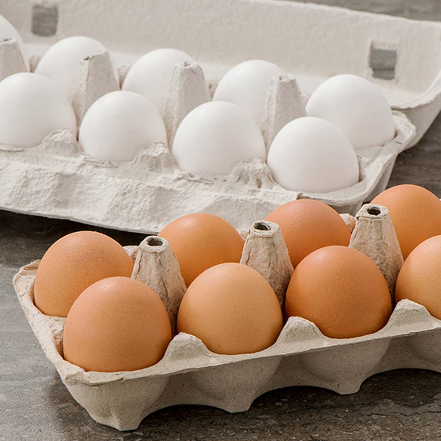 Between white and brown eggs, which one is healthier