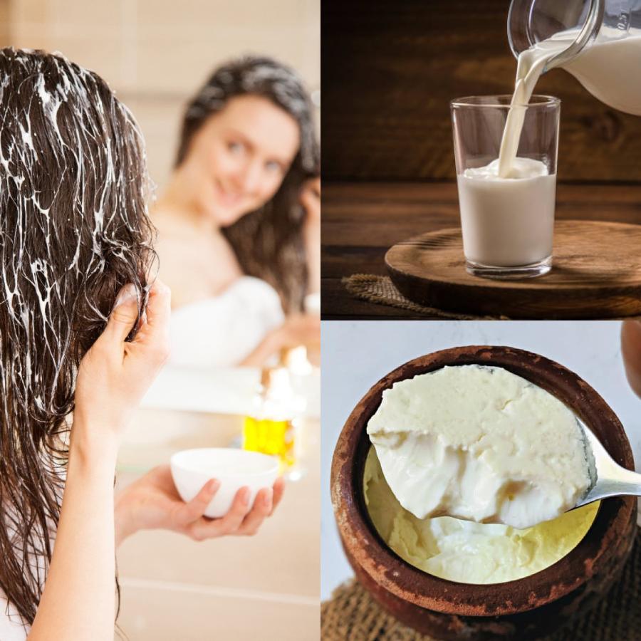 Milk or Curd, which ingredient is more effective for hair growth and health dgtl