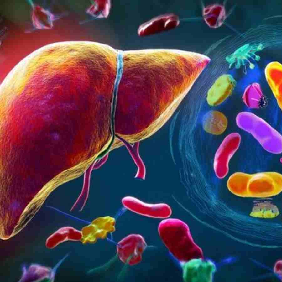 Delhi has seen a sharp rise in Hepatitis A and E, what are the warning signs