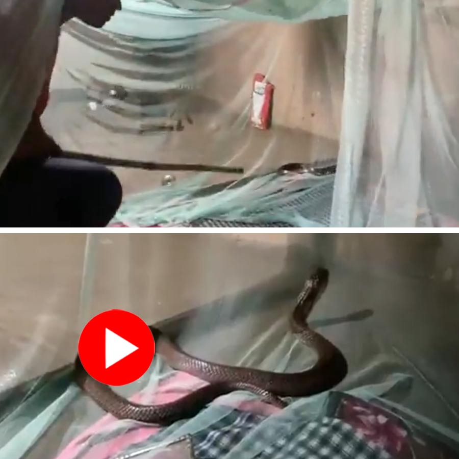 Eng chiroyli nam dumbalar