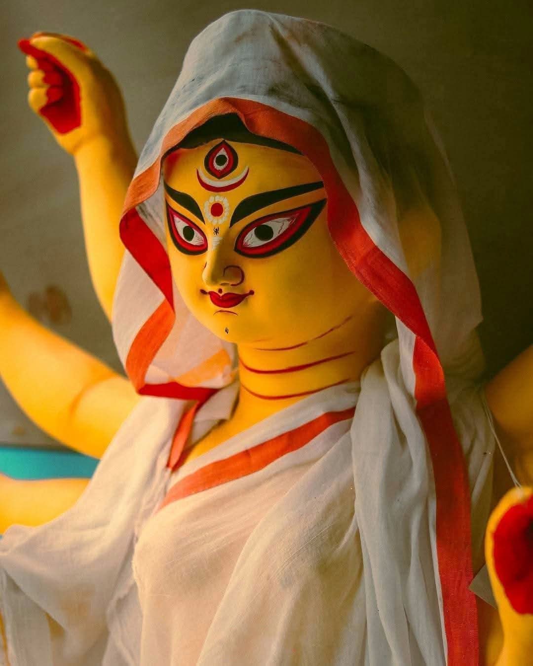 শাক্ত ও বৈষ্ণব মতের বিভেদ: একসময় শাক্ত এবং বৈষ্ণব সম্প্রদায়ের মধ্যে পুজো নিয়ে বিরোধ সৃষ্টি হয়েছিল। শাক্তরা দেবীর বাহন হিসেবে শক্তির প্রতীক সিংহকেই প্রাধান্য দিতেন।