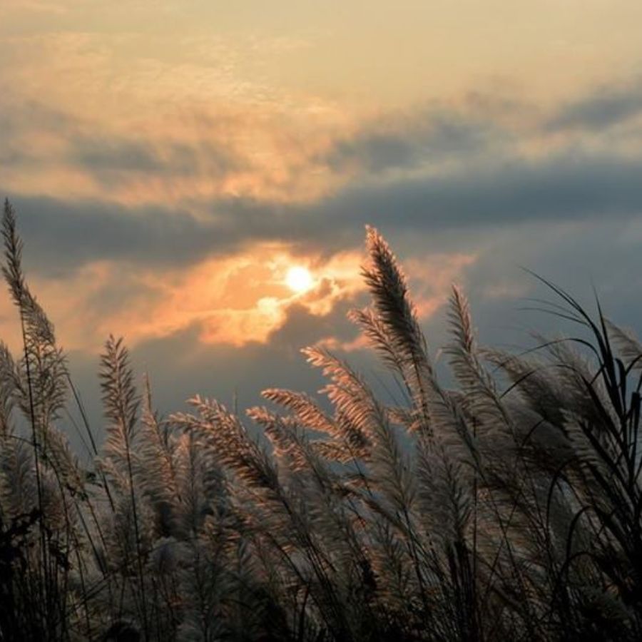 শাস্ত্রীয় তাৎপর্য: এছাড়াও, দেবী দুর্গার আগমন এবং বিদায় ভিন্ন ভিন্ন বাহনে হয়, যা হিন্দু পঞ্জিকা অনুসারে নির্ধারিত হয়। এই বাহনগুলি হল - দোলা, নৌকা, হাতি, ঘোড়া এবং পালকি।