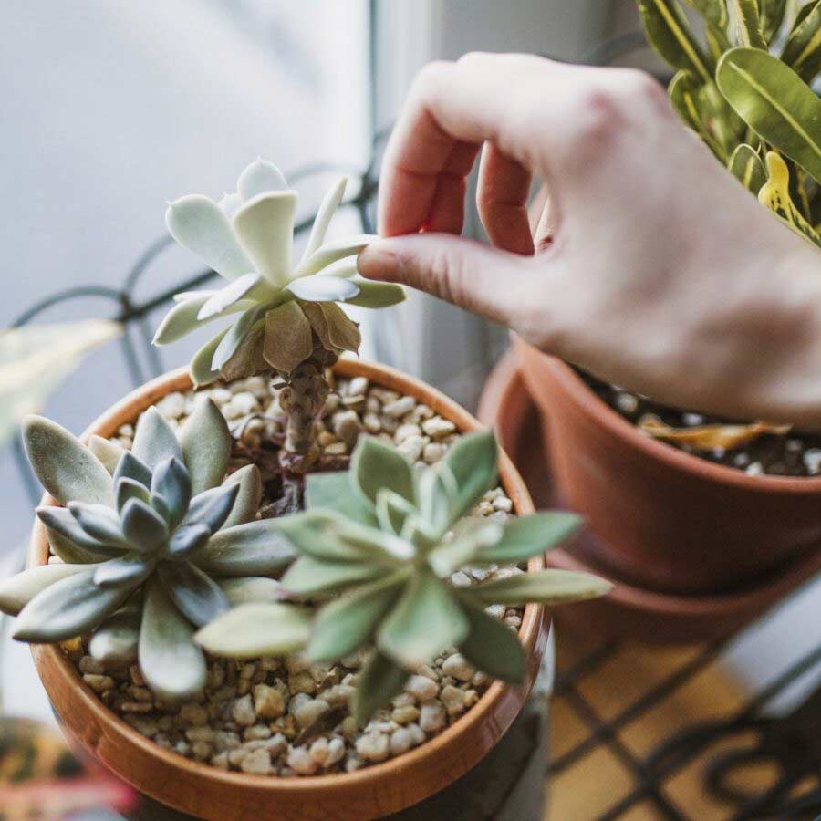 ছবি: সংগৃহীত।